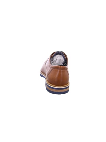 Sioux Business Schuhe für Herren in uni