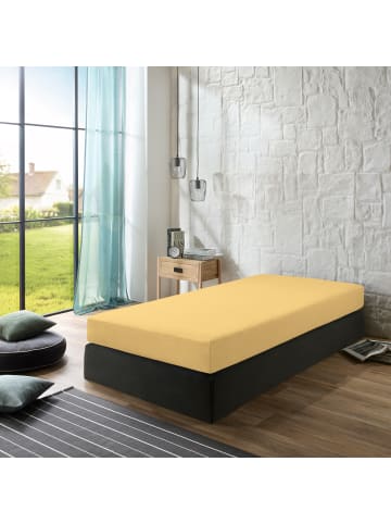 Erwin Müller Single-Jersey Spannbettlaken kochfest Straubing in gelb