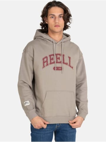 Reell Hoodie "Team Hoodie" in Grau