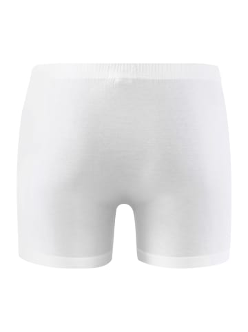 Hanro Shortleg Pants Cotton Sensation in Weiß