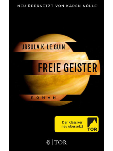 FISCHER Tor Freie Geister