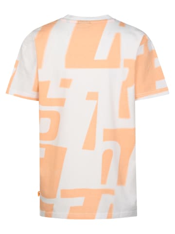 Petrol Industries T-Shirt mit Allover-Print Montaña in Weiß