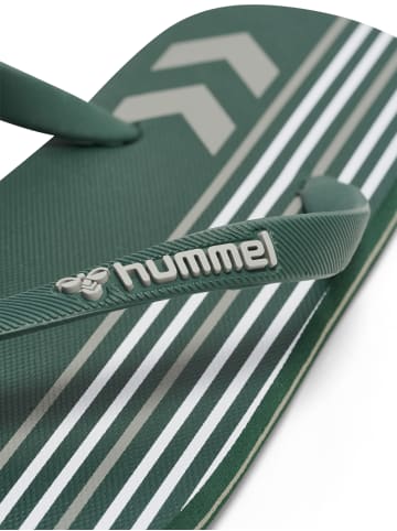 Hummel Hummel Flip-Flop Multi Stripe Unisex Erwachsene Leichte Design in JUNGLE GREEN