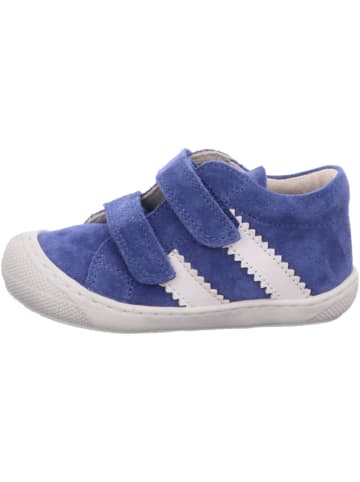 Naturino Jungen- Halbschuhe  in Blau