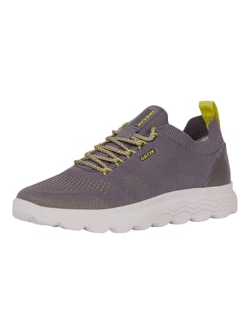 Geox Sneaker in Dunkelgrau