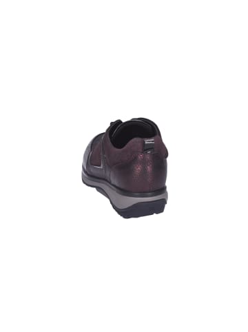 Xsensible Komfort Schnürschuhe in Braun