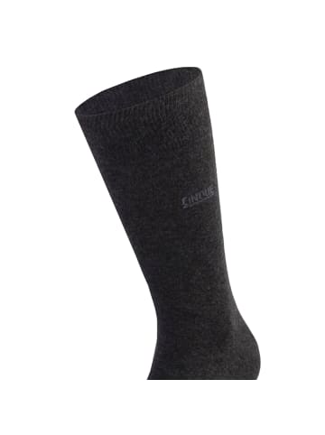 Cinque Socken 5er Pack in Anthrazit