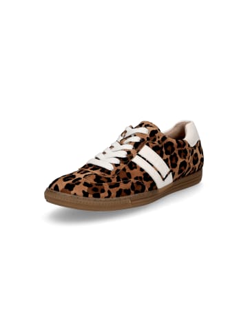 Paul Green Sneaker in Leopard