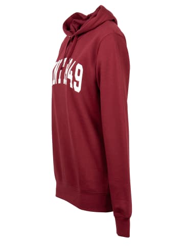 Gant Sweatshirt in Plumped Red