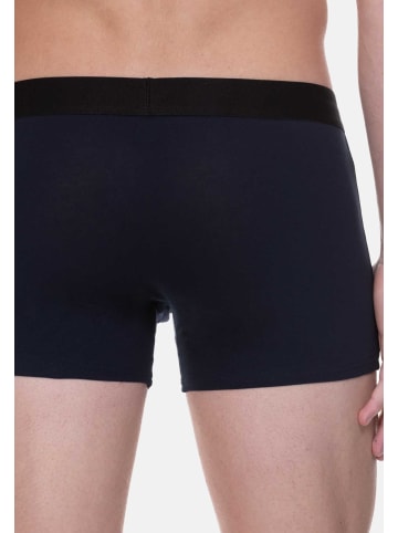 Bruno Banani Retro Short / Pant Energy in Navy