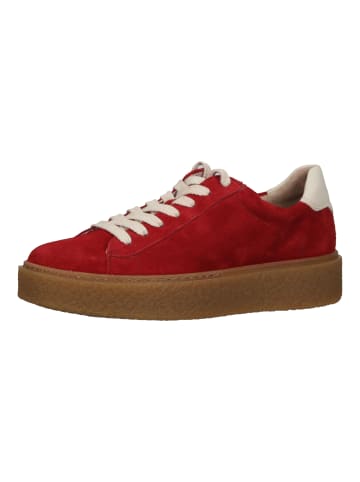 Paul Green Sneaker in Rot/Weiß