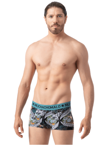 Muchachomalo 4er-Set: Boxershorts in Multicolor