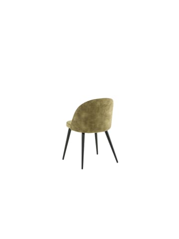 ebuy24 Esszimmerstuhl Velvet 1 Hellgrün 2er Set
