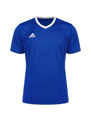 adidas Performance Trikot Entrada 22 in blau