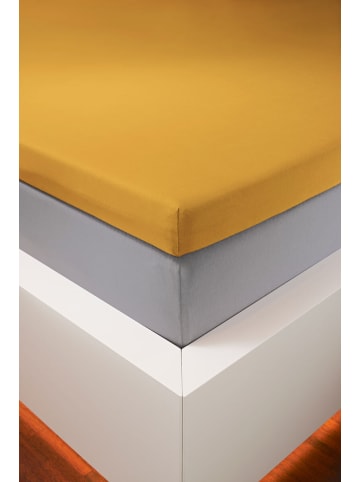 bellana jersey Spannbetttuch Bellana Edel-Elastic-Jersey Topper in gold