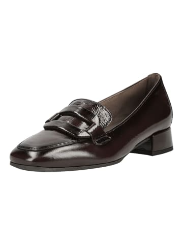 Gabor Slipper in Mocca