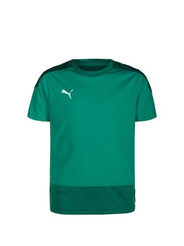 Puma Trainingsshirt TeamGOAL 23 Jersey Junior in grün