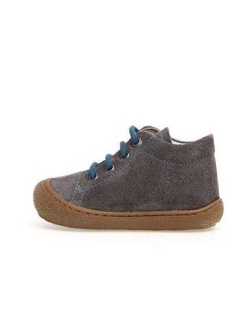 Naturino Jungen- Halbschuhe  in grau