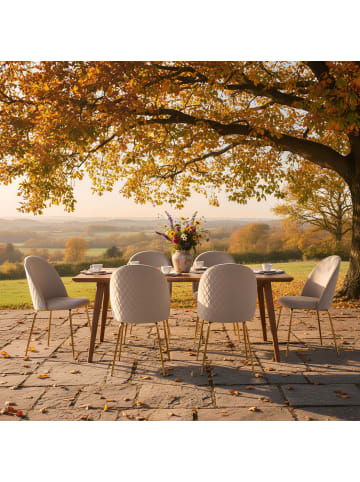 KADIMA DESIGN Skandinavischer Esszimmerstuhl 2er Set mit Samtbezug, 53x86x50 cm in Beige