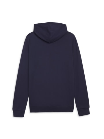 Puma Sweatshirt teamGOAL Casuals Hoody in blau