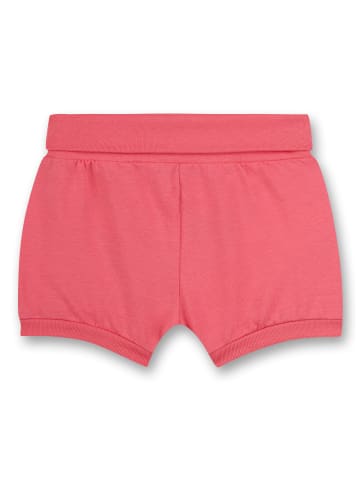 Sanetta Shorts in Rosa