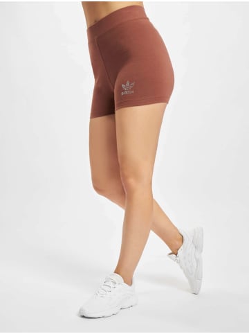 adidas adidas Shorts in earth brown