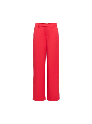 Object Hose in poinsettia