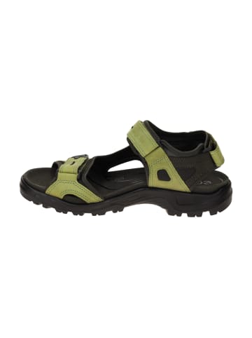 Ecco Trekkingsandalen in Grün