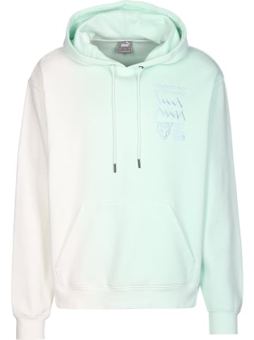 Puma Kapuzenpullover in marshmallow/arctic ice