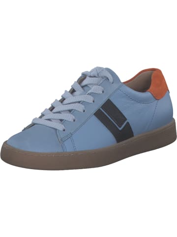 Paul Green Schnürschuhe in ROYAL SKY