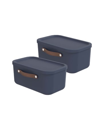 Rotho 2er-Set Kiste mit Deckel Maloja 12l in Midnight blau