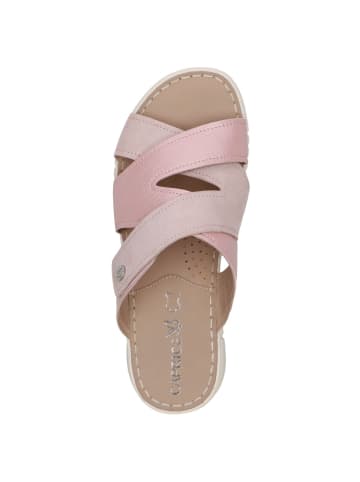 Caprice Pantolette in ROSE PERLATO