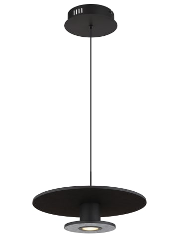 Globo lighting Hängeleuchte "CARTER" in black