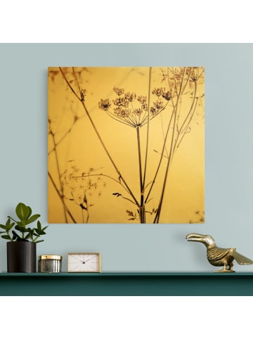WALLART Leinwandbild Gold - Trockenblume im Lichtspiel in Braun