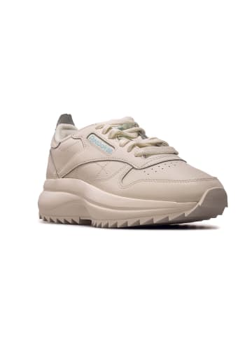 Reebok Sneaker in Weiß