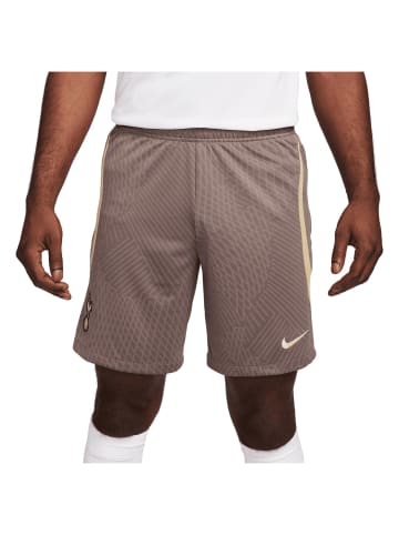 Nike Performance Trainingsshorts Tottenham Hotspur Strike in grau / gold