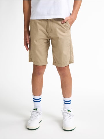 Petrol Industries Chino-Shorts Shark in Braun