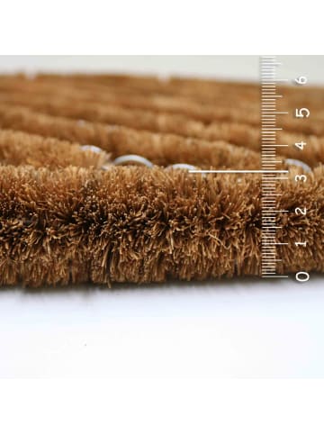 Astra Fußmatte für Innen und Außen COCO BRUSH STANDARD 2ER SET 2 in Natur
