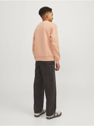 Jack & Jones Sweatshirt in Canyon Sunset