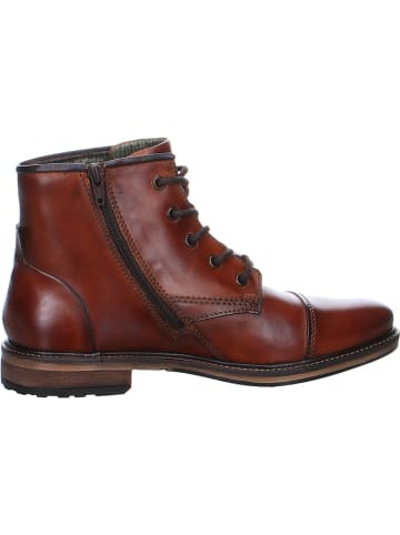 Bugatti Stiefeletten für Herren in cognac