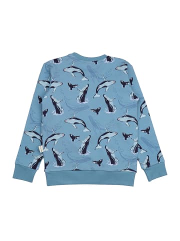 Walkiddy Sweatshirt Jumping Whales-Sweatshirt