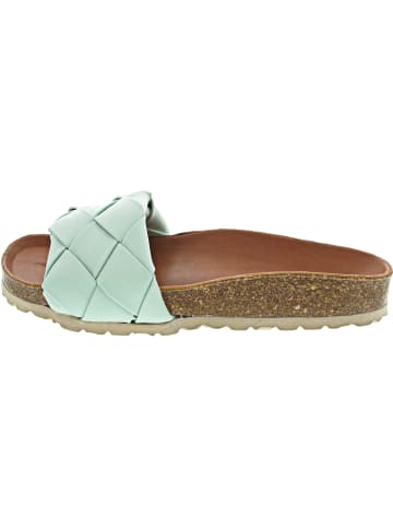 Verbenas Pantolette Grün