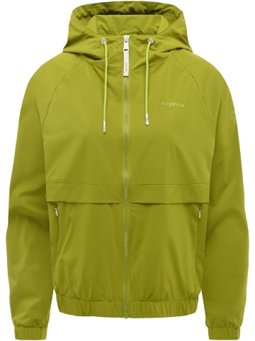 ragwear Outdoorjacke Anndra in Pistachio