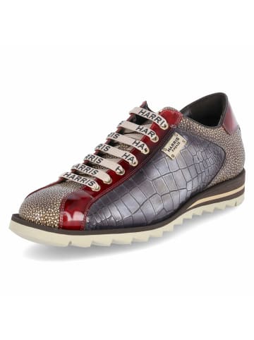 Harris Schnürhalbschuh in taupe