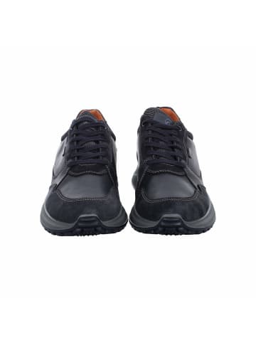 ara Sneaker für Herren in blau