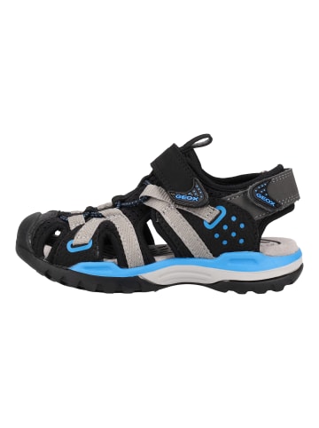 Geox Sandalen in Schwarz/Blau