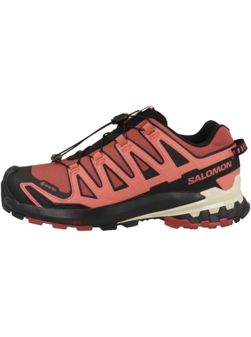 SALOMON Laufschuhe XA PRO 3D V9 GTX in rosa