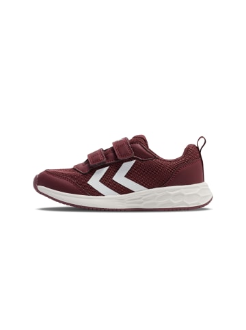 Hummel Hummel Klettverschluss Shoe Turbo Run Lebensstil Kinder in VINEYARD WINE