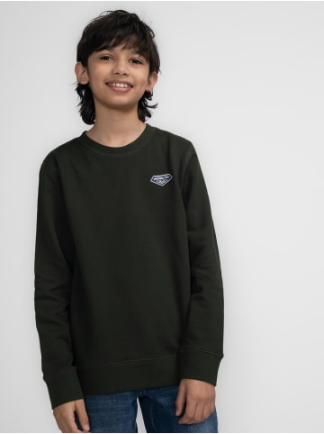 Petrol Industries Lässige Sweater Alyeska in Braun