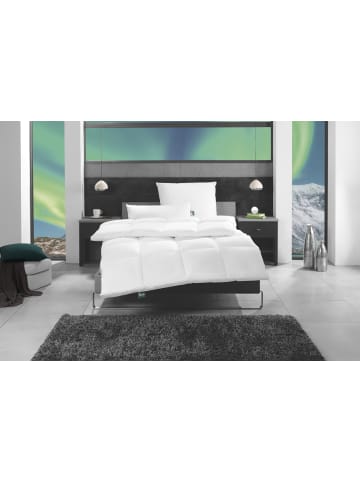 f.a.n. Frankenstolz Kopfkissen mit Federn und Daunen-Füllung , 3-Kammern-Kissen in weiss